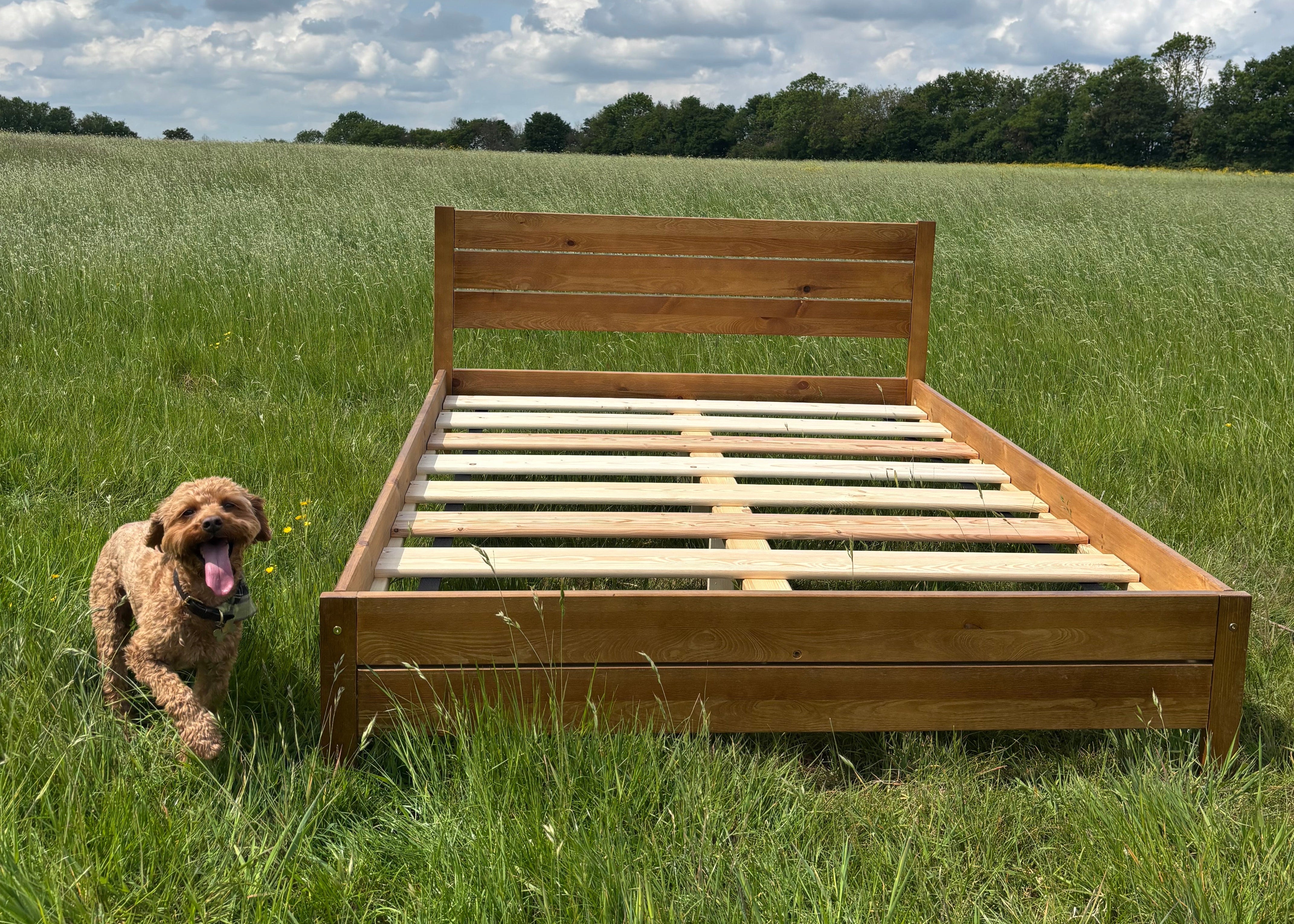 Nodax F3 Alva wooden bedframe in oak finish with higher headboard and extra underbed clearance, Bobby D.O.G approved too