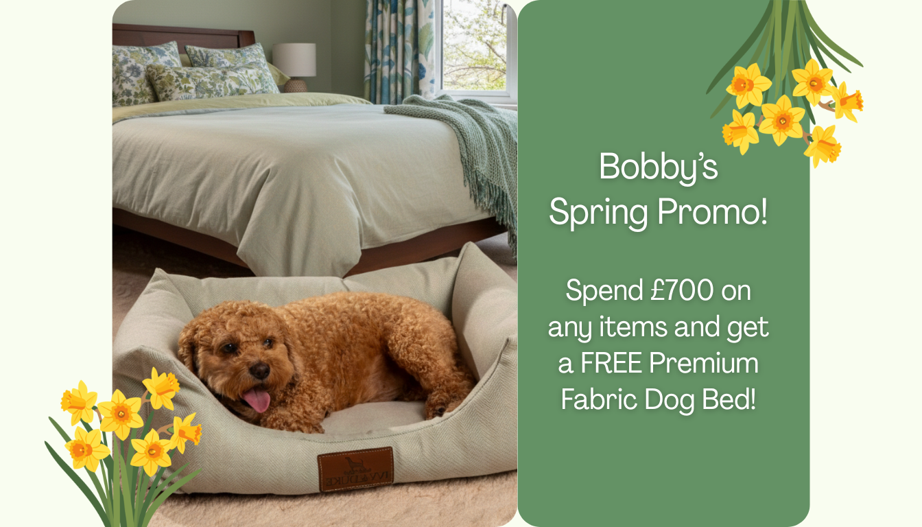 🐶 Bobby’s Spring Promo: Spend £700 and Get a FREE Premium Fabric Dog Bed🌻