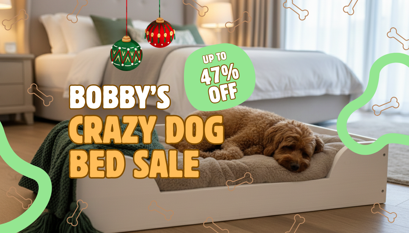 Bobby’s Crazy Dog Bed Sale: Treat Your Pup to a Cosy Christmas Upgrade! 🐾