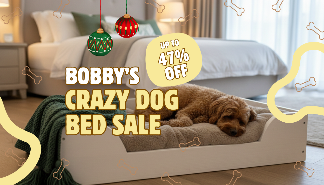 Bobby’s Crazy Dog Bed Sale: Treat Your Pup to a Cosy Christmas Upgrade! 🐾