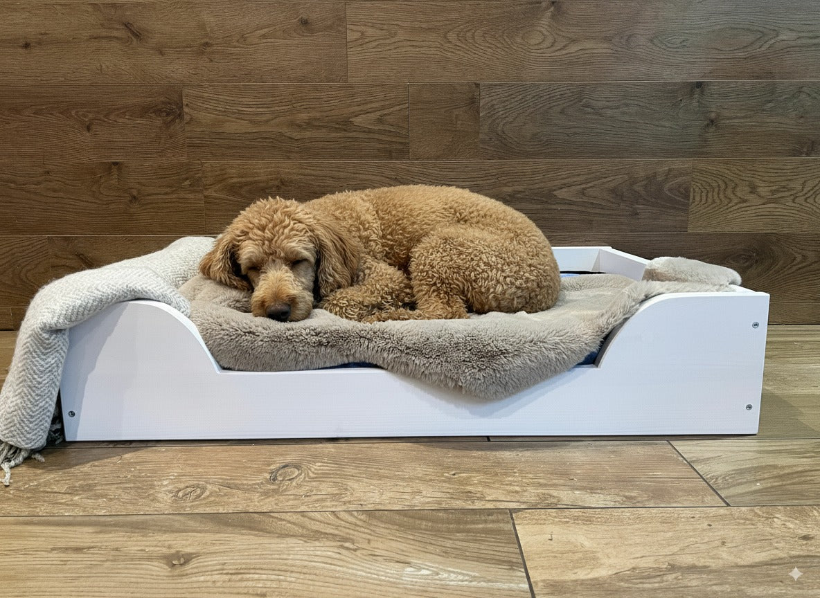 Nodax wooden pet dog bed with slats and waterproof mattress in white finish, medium bed