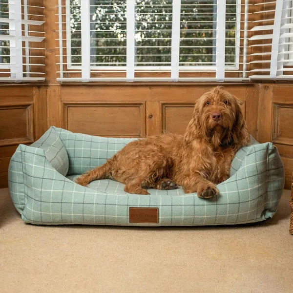 The Lounger Deluxe Dog Bed Medium