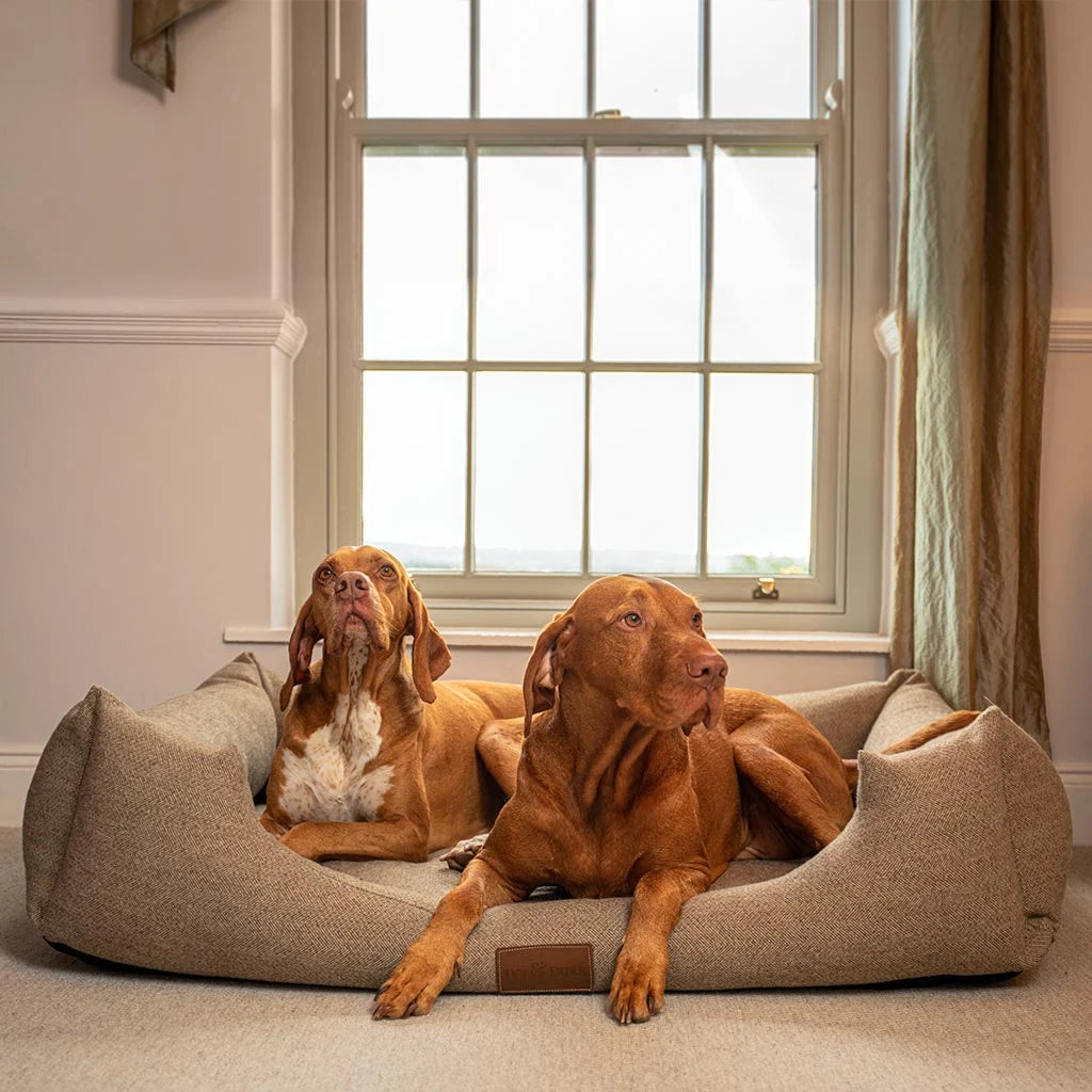 The Lounger Deluxe Dog Bed Extra Large