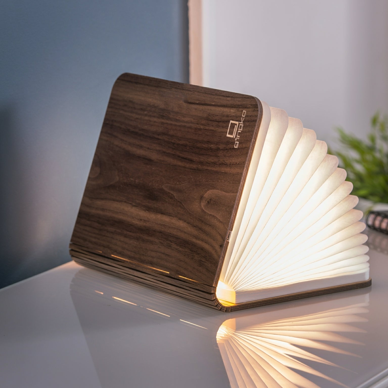 Book Lamp