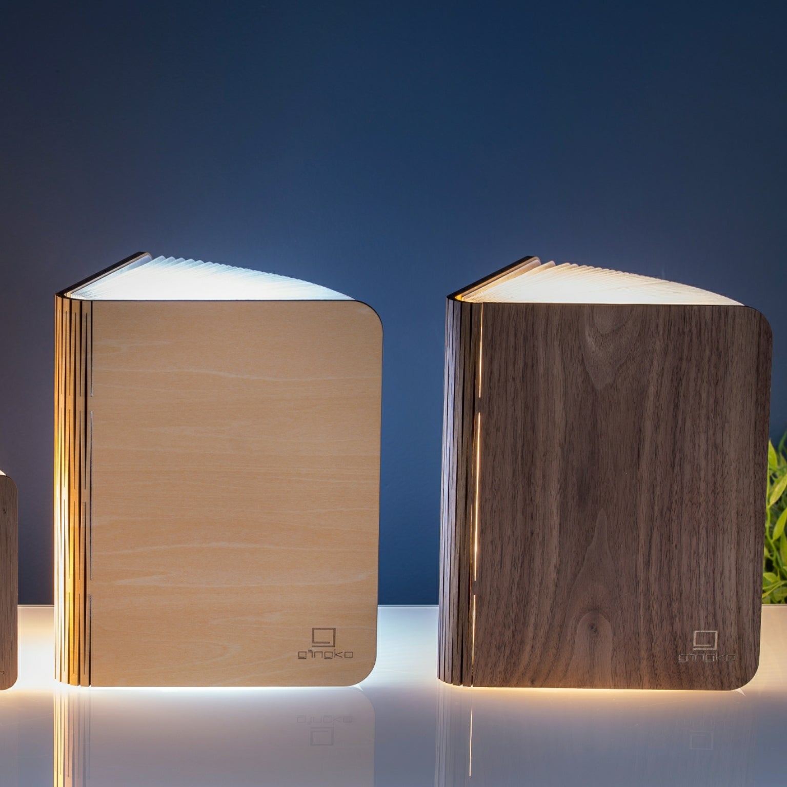Book Lamp