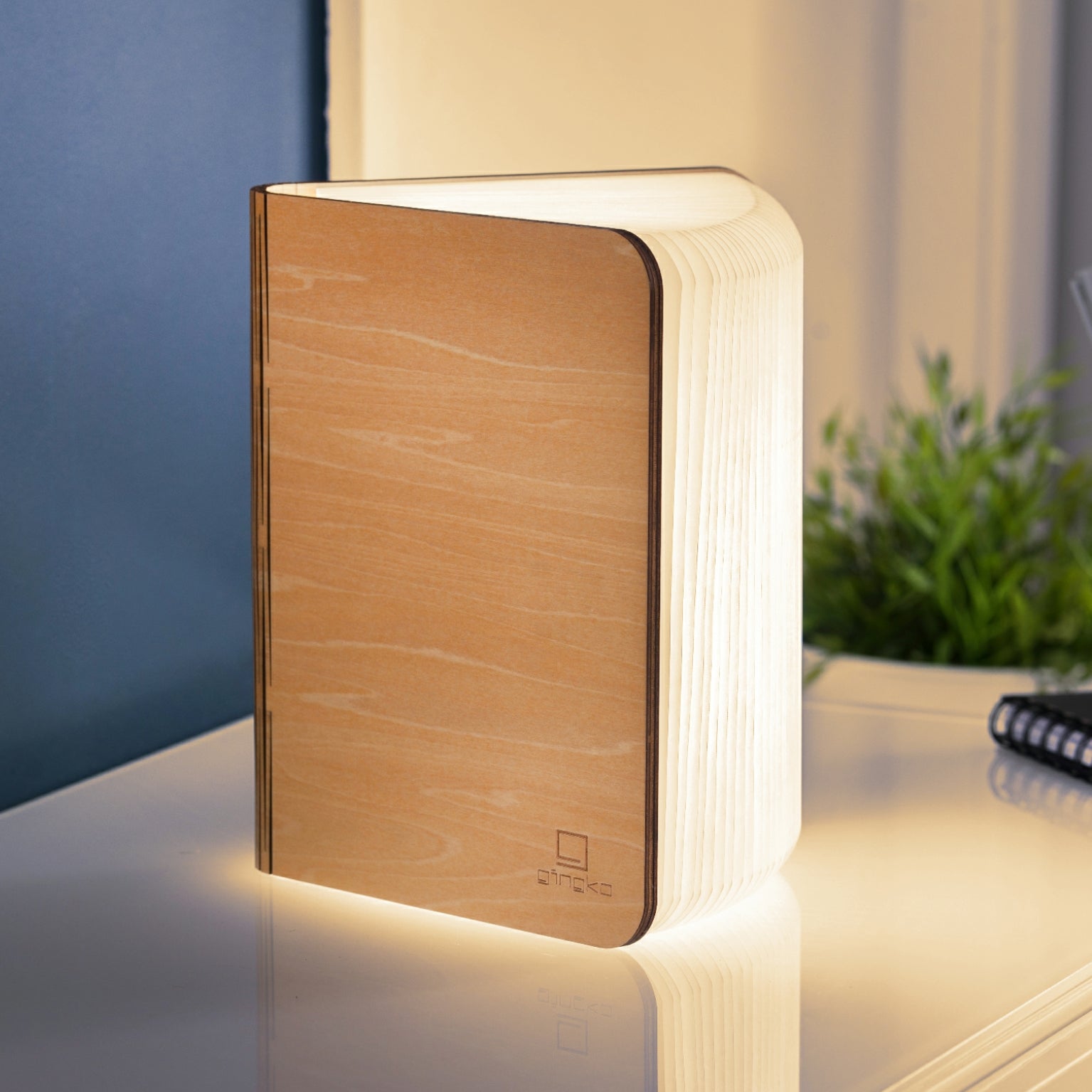 Book Lamp